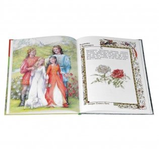 Белоснежка и Краснозорька. Три брата фото книги 2