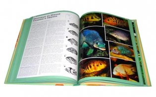 Атлас аквариумных рыб фото книги 5