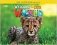 Welcome to Our World 3. Activity Book Pamphlet (+ Audio CD) фото книги маленькое 2