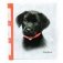 Фотоальбом "K.Kimberlin: F.Puppies" (10 листов) фото книги маленькое 2
