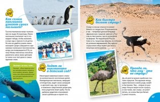 Как? Почему? Зачем? Новая книга вопросов и ответов фото книги 6