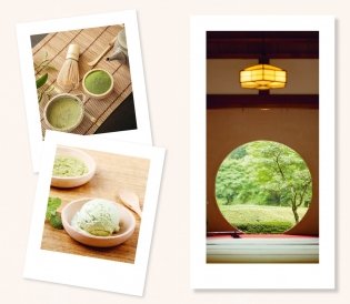 Нагоми фото книги 6