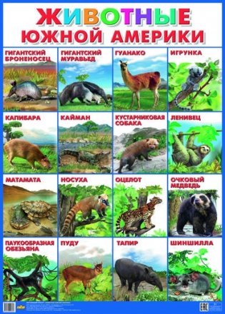 Животные Южной Америки. Плакат фото книги