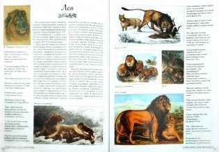 Самые известные животные. Иллюстрированная энциклопедия фото книги 3