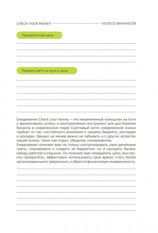 Check your money. Ежедневник финансовой грамотности фото книги 5