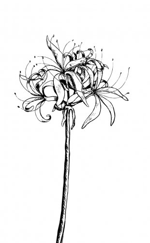 Сон и Пепел фото книги 2