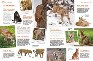 Мир животных: от актинии до ягуара фото книги 6