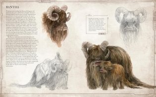 Star Wars Bestiary, Vol. 1 фото книги 3