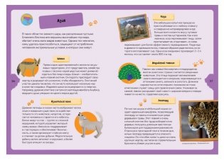 Животные планеты. Интерактивная детская энциклопедия с магнитами фото книги 9