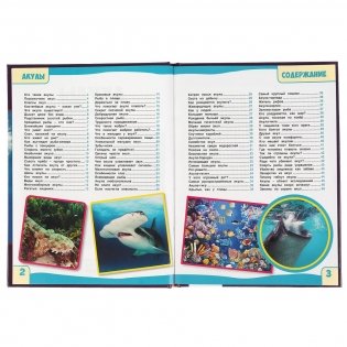 Акулы. 100 фактов. Энциклопедия с развивающими заданиями фото книги 2