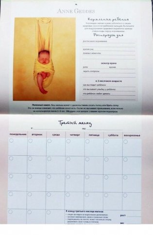 Недатированный календарь "Мой первый год жизни" фото книги 3