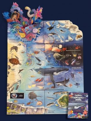 Тайны подводного мира фото книги 6