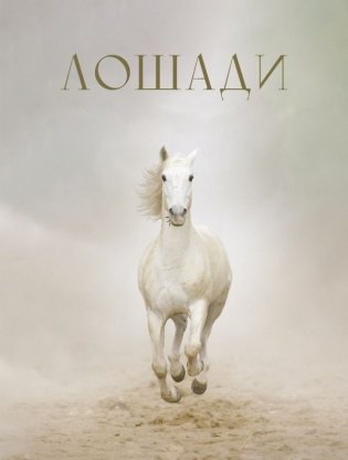 Лошади фото книги
