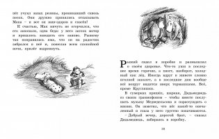 Мальчик, пёс Рыжий и премудрости Картонной школы фото книги 3
