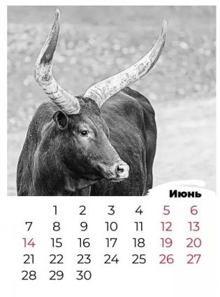 Календарь "Год быка" на 2021 год фото книги 4