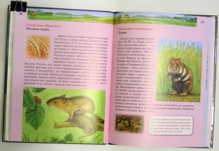 Энциклопедия. Млекопитающие фото книги 3