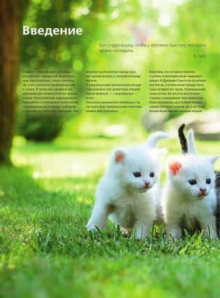 Кошки. Самая полная иллюстрированная энциклопедия фото книги 5