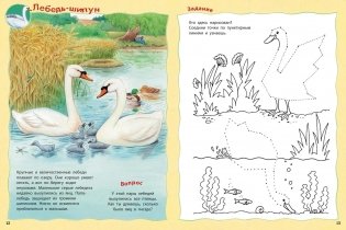 Как живут птицы? Книжка-активити с развивающими заданиями, головоломками, наклейками фото книги 5