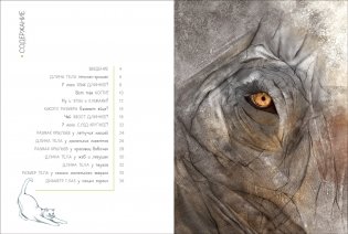 Животные в метрах и миллиметрах фото книги 3