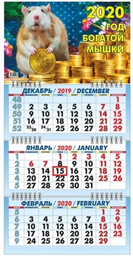 Календарь настенный "Символ года. Год богатой мышки" на 2020 год фото книги