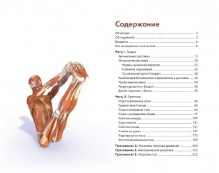 Ключевые позы йоги фото книги 2