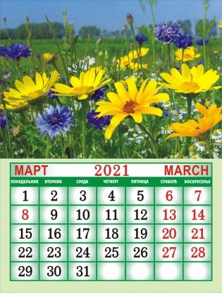 Календарь на магните на 2021 год "Полевые цветы" фото книги 3