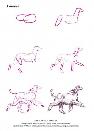Рисуем 50 собак. Учебное пособие фото книги 4