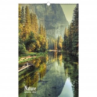 Календарь настенный перекидной на 2022 год "Природа. 1", 280х435 мм фото книги