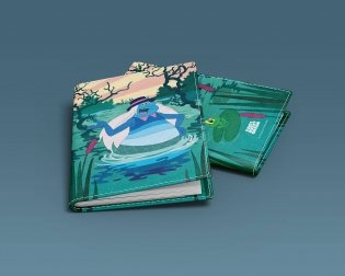 Летучий корабль. Обложка на паспорт. Водяной фото книги