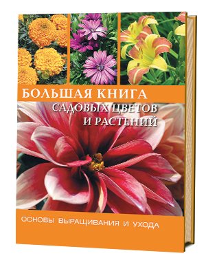 Большая книга садовых цветов и растений фото книги