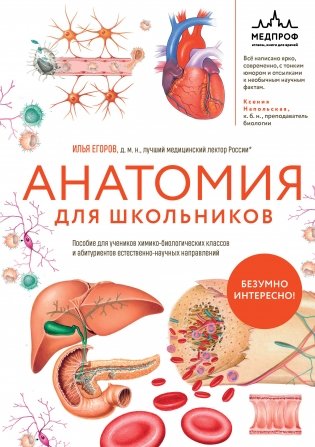 Анатомия для школьников. Пособие для учеников химико-биологических классов и абитуриентов естественно-научных направлений фото книги