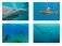 Императоры глубин. Акулы. Самые загадочные, недооцененные и незаменимые стражи океана фото книги маленькое 7