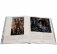 Гении живописи Серебряного века фото книги маленькое 4