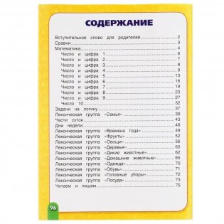 Годовой курс занятий, 5-6 лет фото книги 2