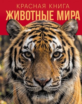 Красная книга. Животные мира фото книги