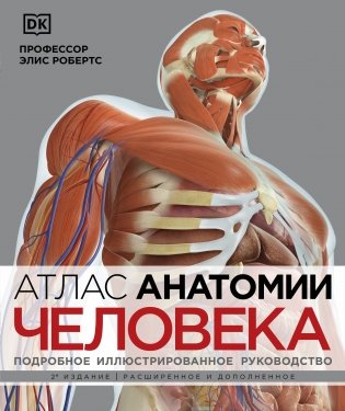 Атлас анатомии человека( DK). Подробное иллюстрированное руководство фото книги