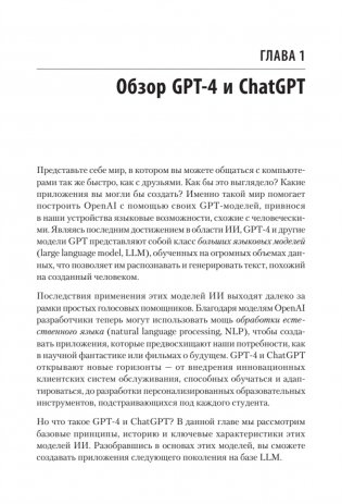 Разработка приложений на базе GPT-4 и ChatGPT фото книги 5