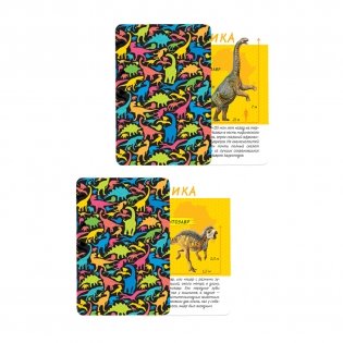 Игра карточная "Спроси меня. Диномания", 54 карточки фото книги 2