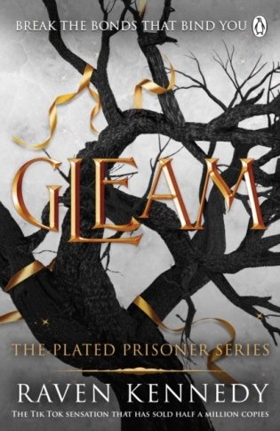 Gleam фото книги