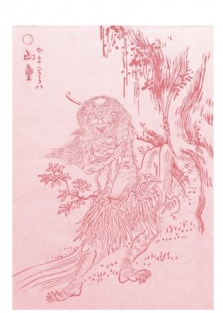 Японские мифы. От кицунэ и ёкаев до «Звонка» и «Наруто» фото книги 2
