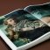 Annie Leibovitz фото книги маленькое 6