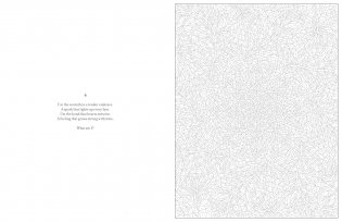 Mystery Coloring Mandalas фото книги 5
