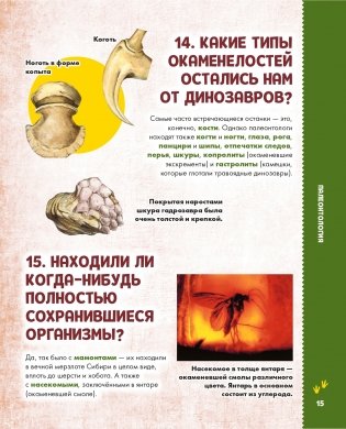 Динозавры фото книги 16