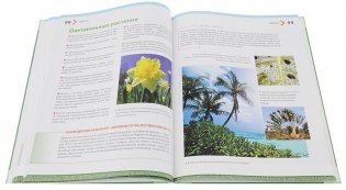 Большая энциклопедия растений для детей фото книги 4
