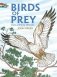 Birds of Prey Coloring Book фото книги маленькое 2