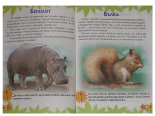 Атлас животных для малышей фото книги 2