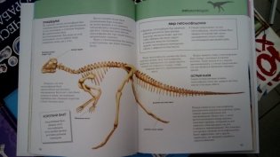 Динозавры. Полная энциклопедия фото книги 2