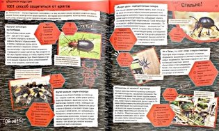 Прекрасные и опасные: насекомые, пауки, скорпионы фото книги 2
