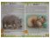 Атлас животных для малышей фото книги маленькое 3