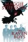 The Raven Boys фото книги маленькое 2